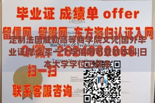 定制法国威勒高等商学院文凭|国外毕业证|怎么买一个学信网可查的本科|日本大学学位记样本