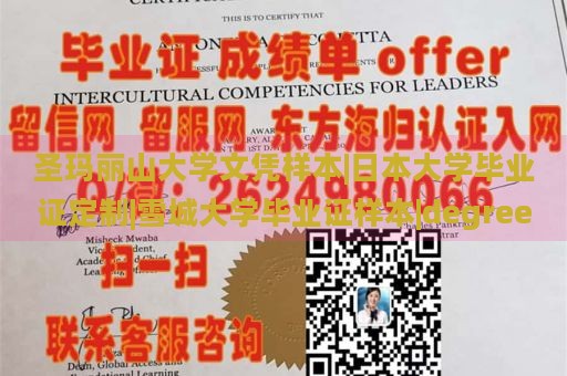 圣玛丽山大学文凭样本|日本大学毕业证定制|雪城大学毕业证样本|degree