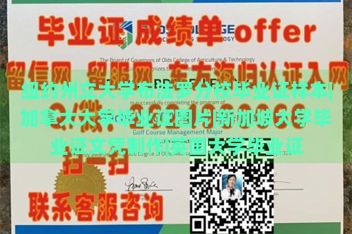 纽约州立大学布法罗分校毕业证样本|加拿大大学毕业证图片|新加坡大学毕业证文凭制作|英国大学毕业证