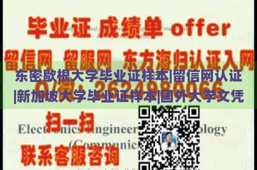 东密歇根大学毕业证样本|留信网认证|新加坡大学毕业证样本|国外大学文凭