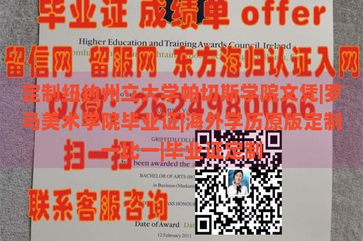 定制纽约州立大学帕切斯学院文凭|罗马美术学院毕业证|海外学历原版定制一比一|毕业证定制