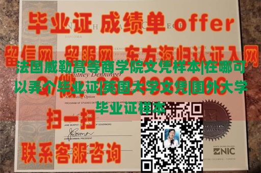 法国威勒高等商学院文凭样本|在哪可以弄个毕业证|英国大学文凭|国外大学毕业证样本